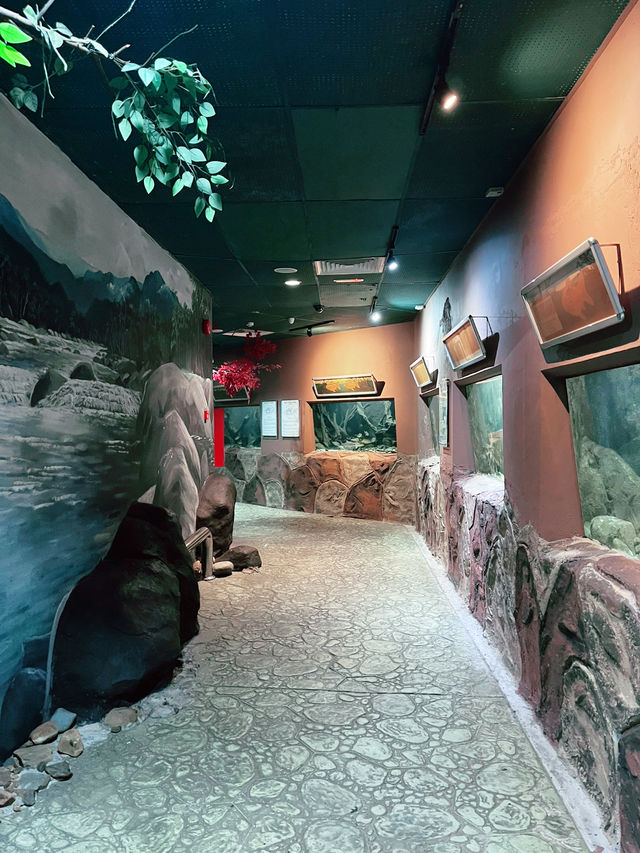 “Explore Malaysia’s Aquatic Wonders at Akuarium Negara”