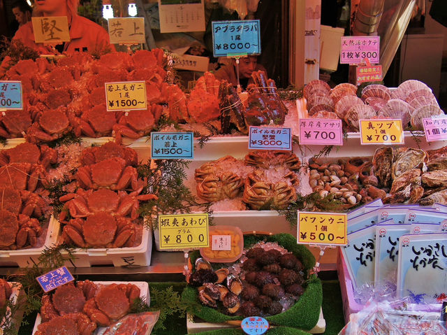 🍣 Seafood Sunrise: My Morning at Hakodate Asaichi