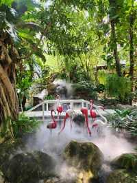 My Way Cafe & Bistro-Pradsak Dam คาเฟ่สวนสวย🌱