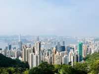 香港都市風情之旅：從金紫荊廣場到維多利亞港夜景