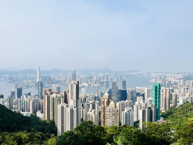 香港都市風情之旅：從金紫荊廣場到維多利亞港夜景