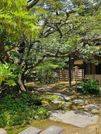 金澤｜兼六園茶亭建築〔夕顏亭與伯牙絕琴的手水鉢〕