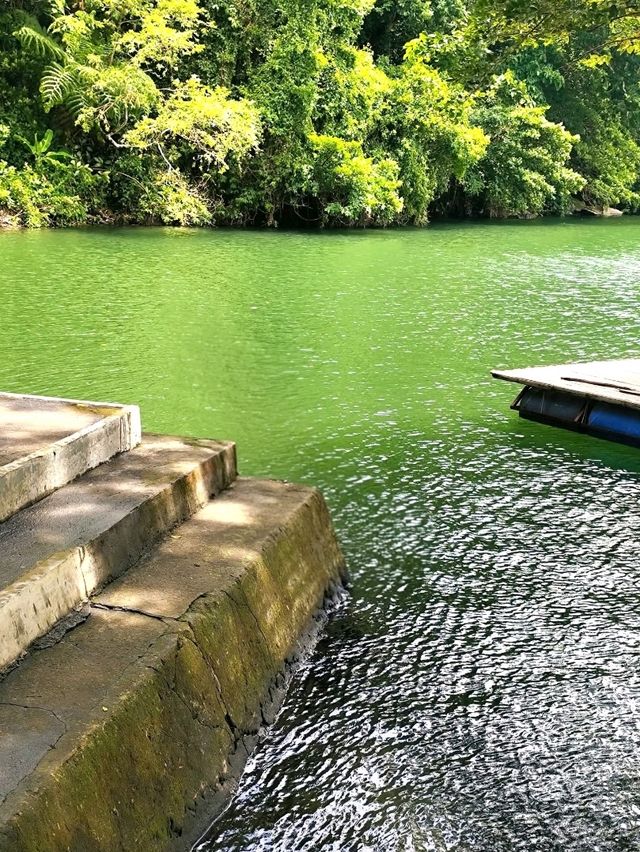 Nature’s Mirror: A Day at Bulusan Lake