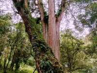 Yuanfeng mountain