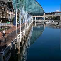 Pyrmont Bridge & Darling Quarter