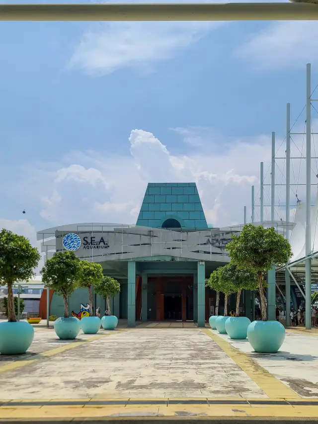 What does the world's largest aquarium really look like? An honest review of Singapore's S.E.A Aquarium