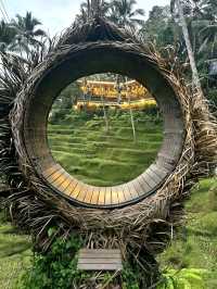 Discover the Charms of Alas Harum Bali
