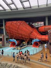🇭🇰 海洋公園水上樂園尖叫日💦