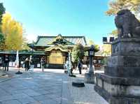 An assembly of Stones, the Stone lanterns of Ueno Toshogu Shrine