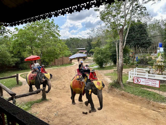 Chang Puak Elephant Camp