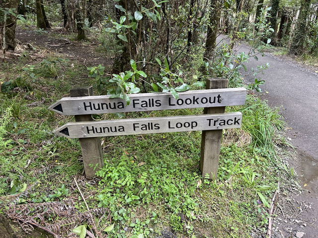 紐西蘭旅遊景點—💦 Hunua Falls｜奧克蘭後山的森林瀑布美景