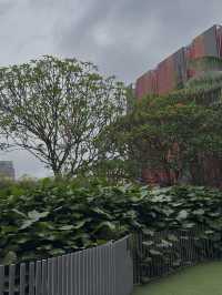 A Little Green Space: The Hidden Hangout You Didn’t Know About