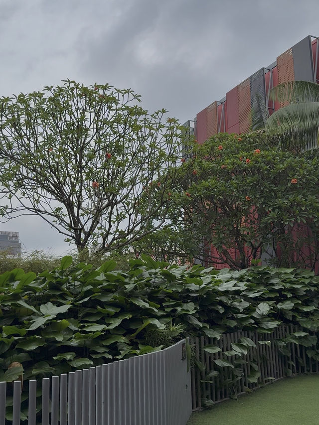 A Little Green Space: The Hidden Hangout You Didn’t Know About