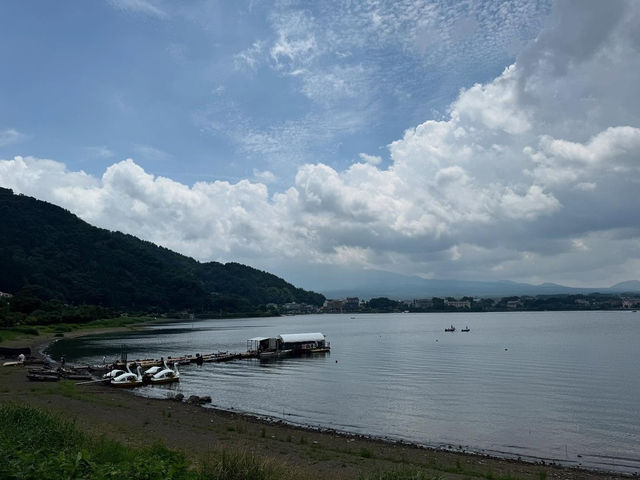  Reflections of Fuji: A Gentle Escape to Lake Kawaguchiko