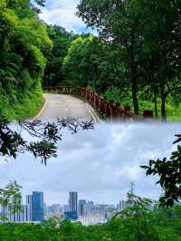 深圳銀湖山郊野公園 • 徒步、騎行