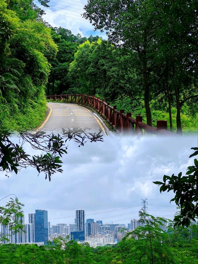 深圳銀湖山郊野公園 • 徒步、騎行