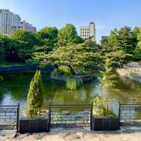 Seoul’s Hidden Harmony of Heritage