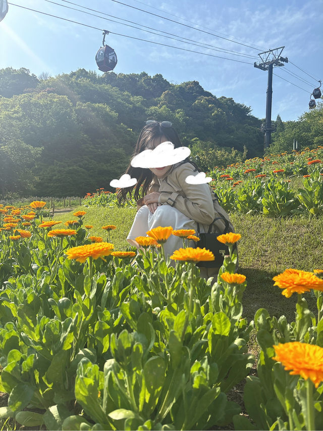 神戸観光でおすすめ💓神戸布引ハーブ園🌱
