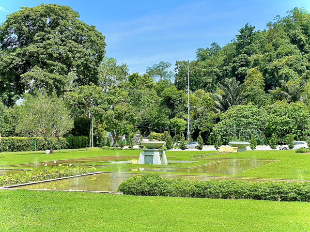 Truly a hidden gem in Penang 👍👫😎❤️