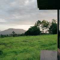 Hillbilly Farm 