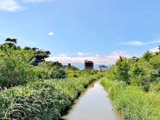 臺東森林公園