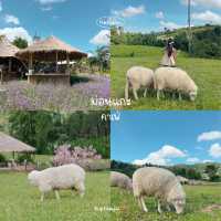 เขาค้อหน้าฝน เที่ยวไหนดี