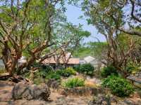 Hilltop Palaces and Sneaky Monkeys at Khao Wang