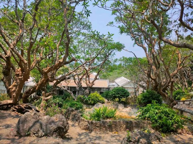 Hilltop Palaces and Sneaky Monkeys at Khao Wang