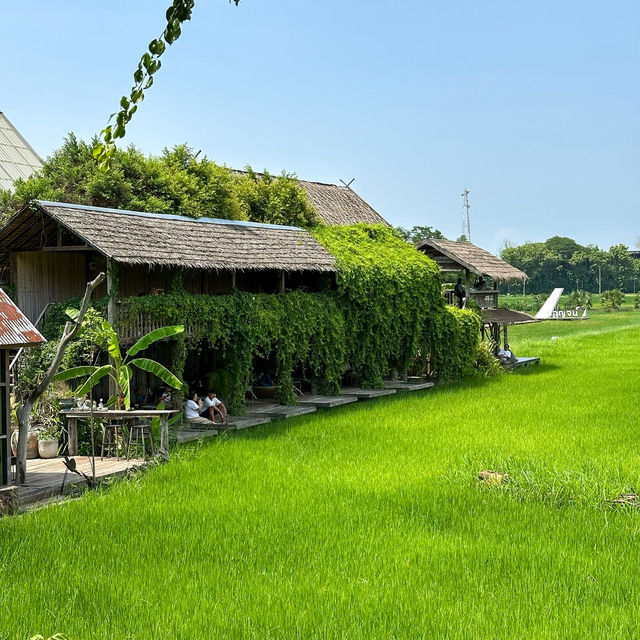 ชิลๆ 👍วิววัดถ้ำเสือ มีนาคาเฟ่