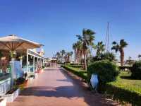 Sunset Strolls & Chill Vibes at Hurghada Marina