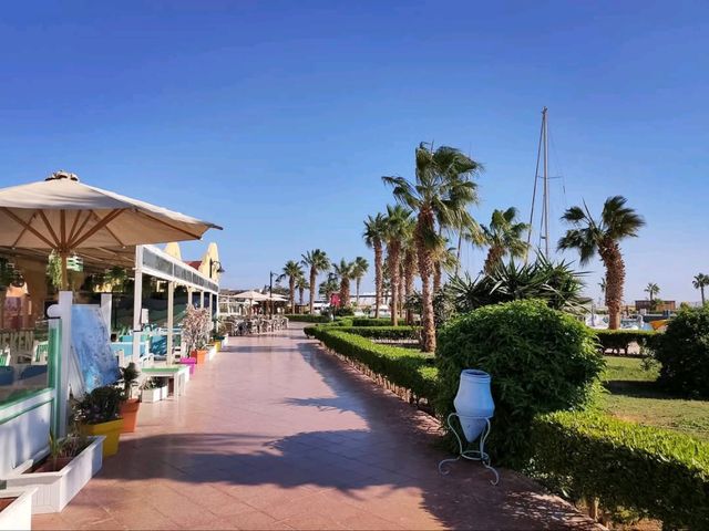 Sunset Strolls & Chill Vibes at Hurghada Marina
