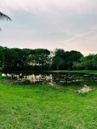 Strolls, Smiles & Serenity at Cyberjaya Lake Garden
