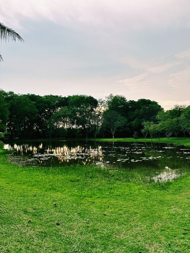 Strolls, Smiles & Serenity at Cyberjaya Lake Garden