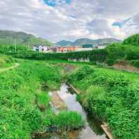 豆田町🌾絕美秘境 