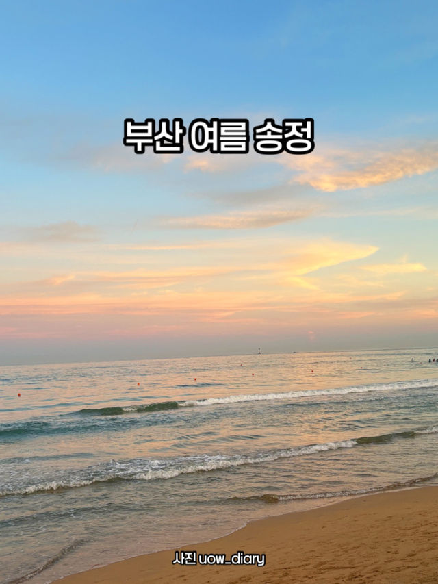📍 부산 송정해수욕장 여름 여행기✨