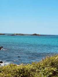 Accessible Coastal Beauty with Unique Geological Features