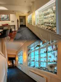 大西洋家園酒店Home Hotel Alantic