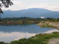 Bird common sightings