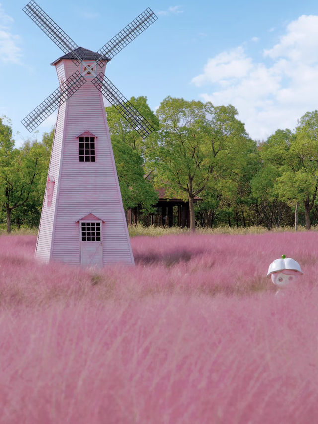 Shanghai in Pink: Autumn Fairyland at Gucun Park 🌸🎡