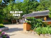 KTX 타고 강릉 당일치기 걷는 여행 코스