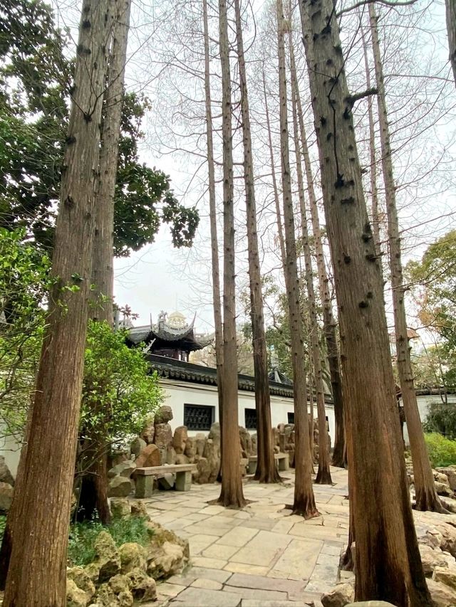 Timeless Calm: A Walk Through Yu Garden