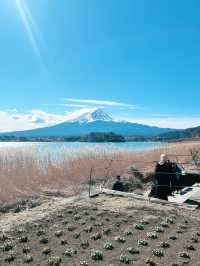 富士山河口湖