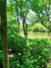 Maojiabu: Hangzhou’s Hidden Lakeside Sanctuary
