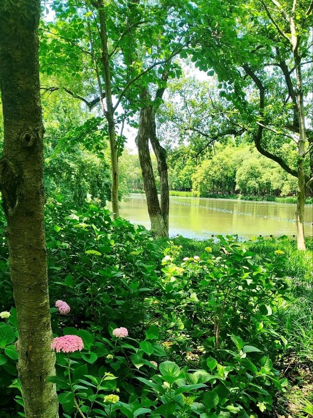 Maojiabu: Hangzhou’s Hidden Lakeside Sanctuary
