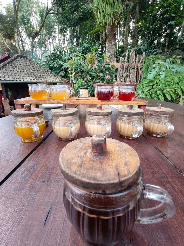 A Sip of Bali’s Soul: Tea & Coffee Tasting at the Plantation