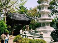 🏞️【山海之間】海東龍宮寺：依海而建的靈性秘境
