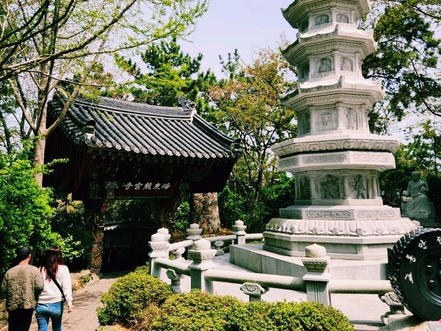 🏞️【山海之間】海東龍宮寺：依海而建的靈性秘境
