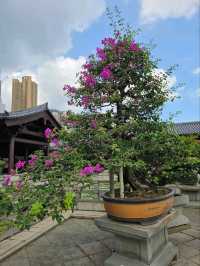 “Tang‑Timber Sanctuary of Zen Elegance”