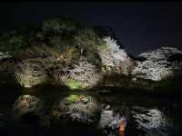 【御船山楽園】四季が彩る幻想庭園で、心ほどけるひととき🌸🍁🌌