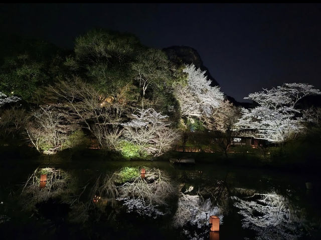 【御船山楽園】四季が彩る幻想庭園で、心ほどけるひととき🌸🍁🌌